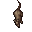 rat