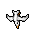 seagull