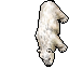 polar bear