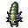 larva
