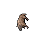 hyaena