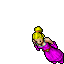Lampucera