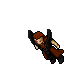 Ortalion